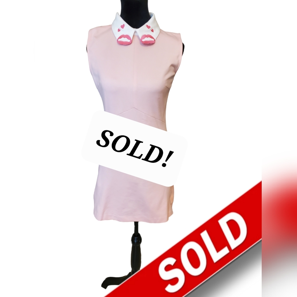 Voodoo Vixen Lipstick on My Collar 60s  Mini Dress Peter Pan Collar Embroidered